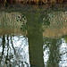 Reflection 3