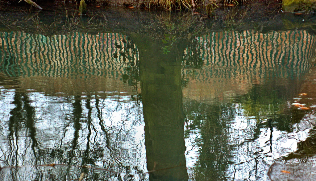 Reflection 3