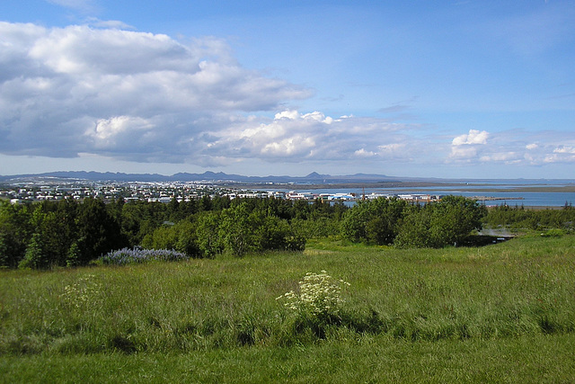 View Over Reykjavik