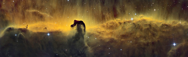 Horse head nebula
