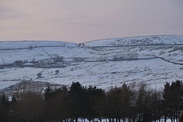 Cown Edge Farm