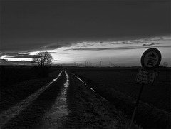 the way into the light - BW