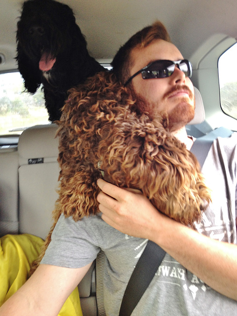 Gavin and his labradoodle fur scarf