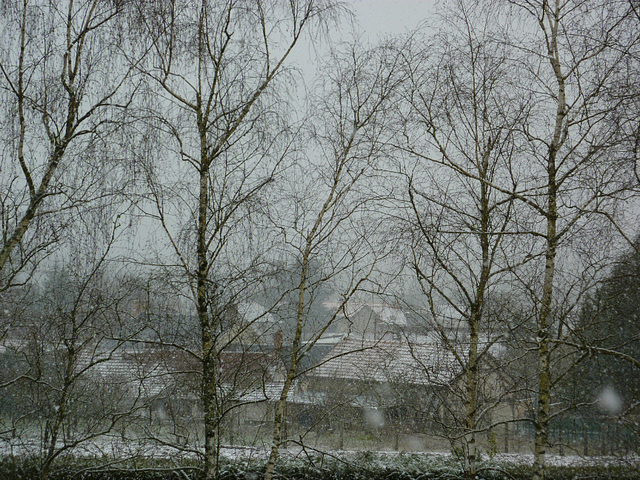 Fin d'hiver...