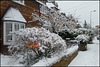 snowy front gardens