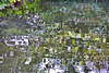 Reflection 2