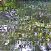 Reflection 2