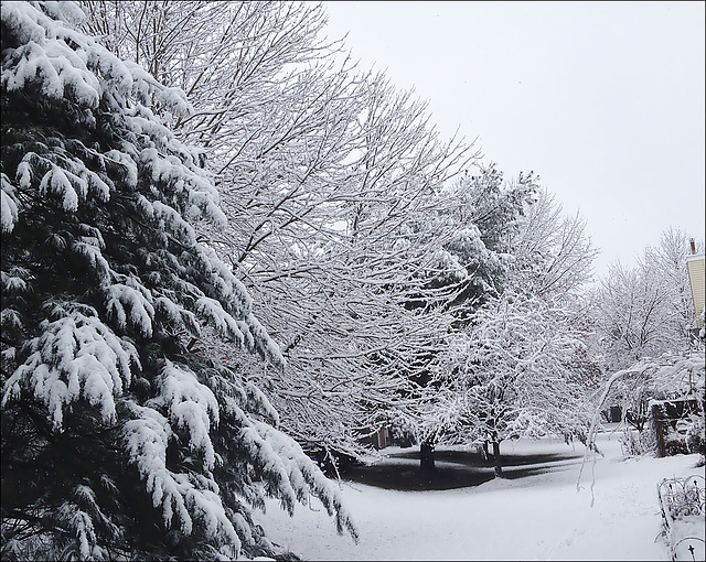 Snow day at New Jersey