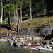 Small hay barn directly at the Partnach brook.