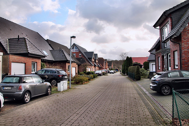 Römerweg (Haltern-Bossendorf) / 26.12.2023