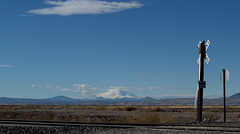 Tule Lake National Wildlife Refuge Mt Shasta (0976)