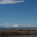 Tule Lake National Wildlife Refuge Mt Shasta (0976)