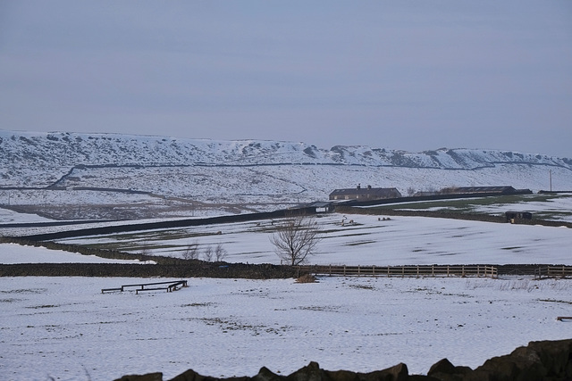 Cown Edge