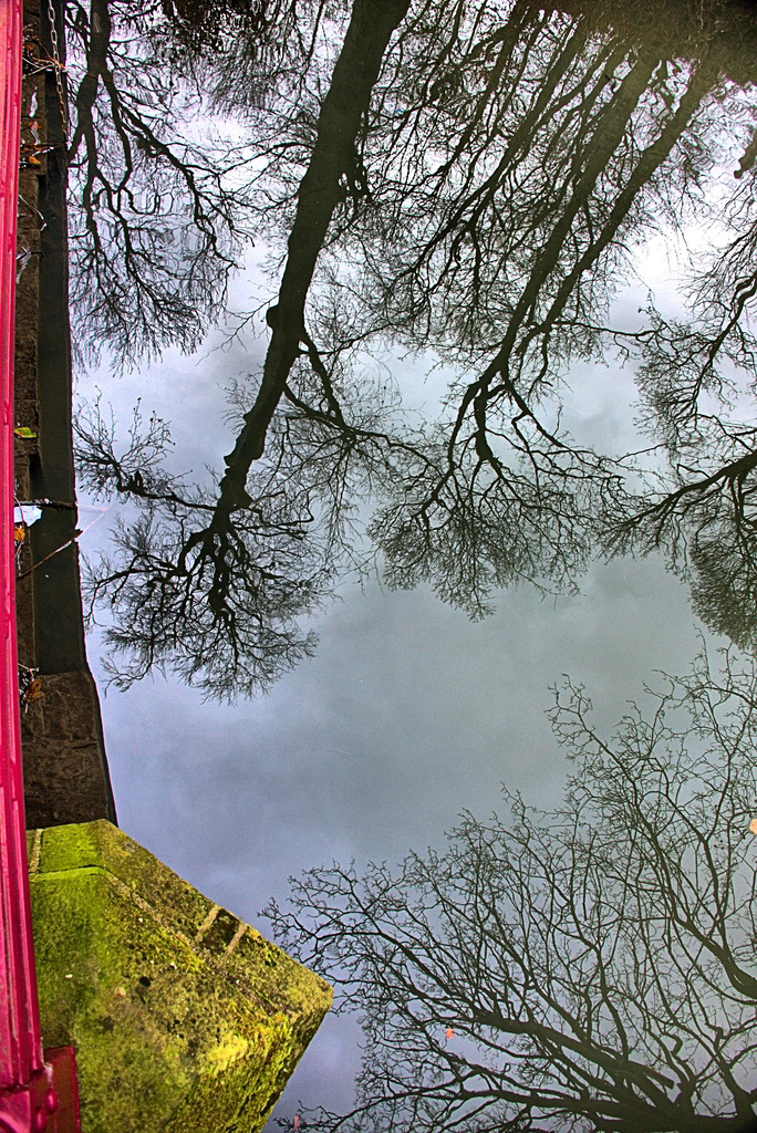 Reflection 1
