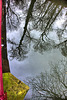 Reflection 1