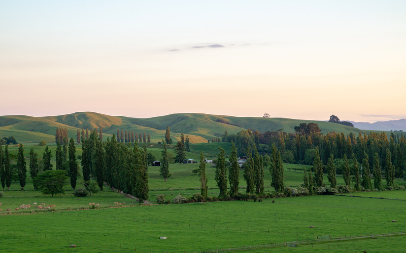 Neuseeland - Otorohanga