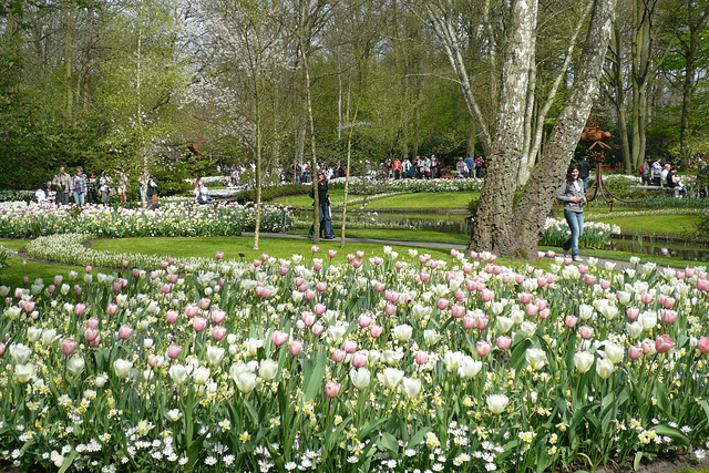 Keukenhof Gardens