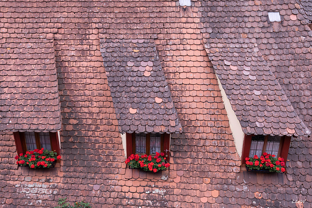 Blumendach ++ Flower roof