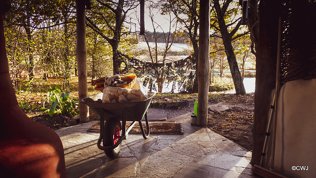 Cold morning by the pond