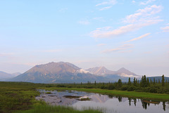 Along the Denali Highway