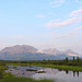 Along the Denali Highway