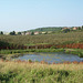 Patching Pond, near Worthing, Sussex