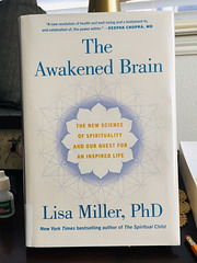 The Awakened Brain