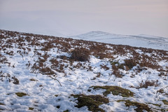 Matley Moor and Lantern Pike