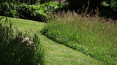 Beautifully managed meadows