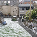 Garden Snow