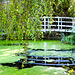 Japanese Bridge + Reflection