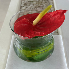 In the Ayurveda Center. For you.
