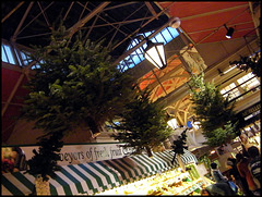 Christmas trees in the market