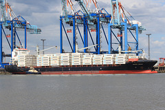 MAERSK  NEWARK