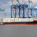 MAERSK  NEWARK