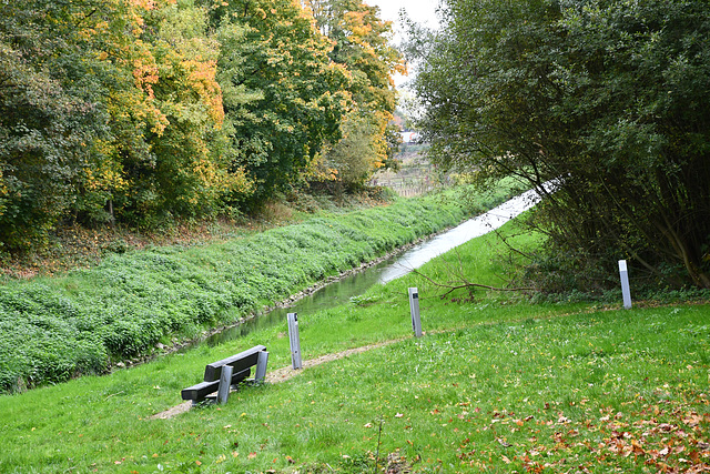 (Hbm)  Beside  the Brook