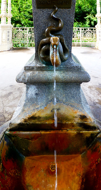 CZ - Karlovy Vary - Snake Fountain