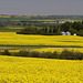 Alberta Farm County