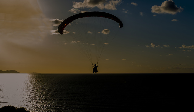 volando al atardecer