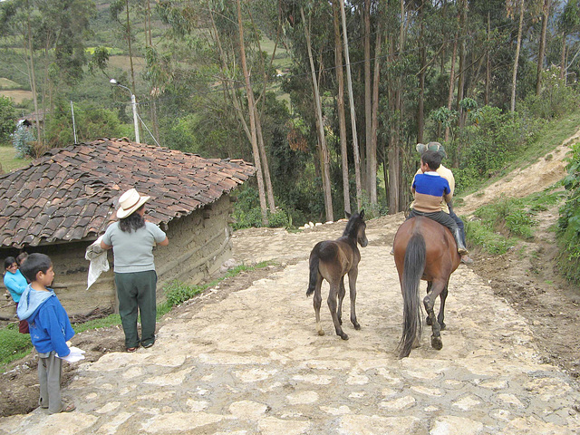 The road is also used as a bridle path