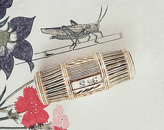 cricket cage 2