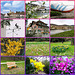 Wanderung in den Frühling - 28.03.2025