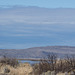 Tule Lake National Wildlife Refuge pelicans (0982)