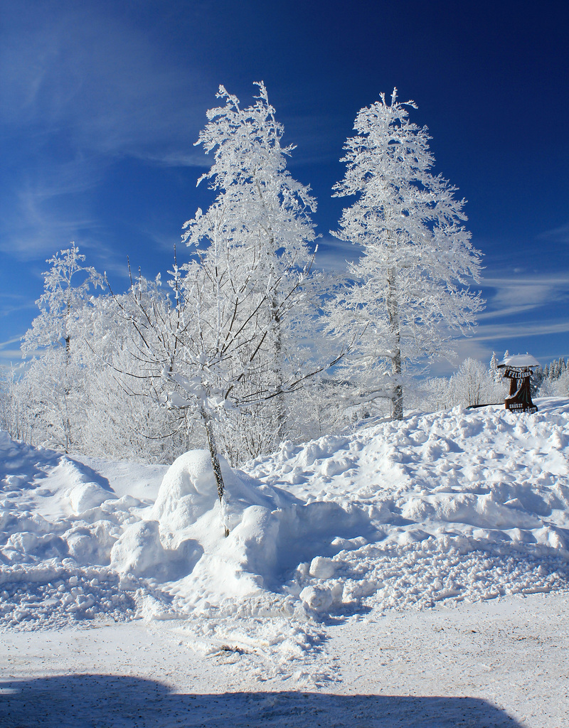 Winterzauber auf dem großen Feldberg