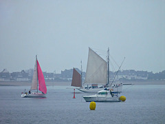 le thonier BICHE,, de Groix