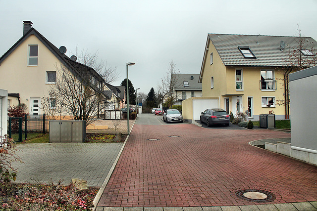 Dieckmannsfeld (Bochum-Gerthe) / 10.12.2016