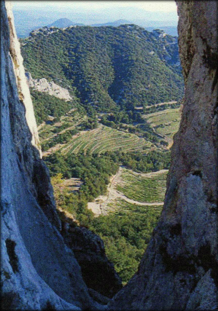 Dentelles de Montmirail, Vaucluse (84) France in 1972.