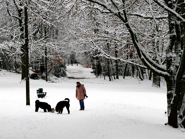 Der erste Schnee in 2019 in Wuppertal