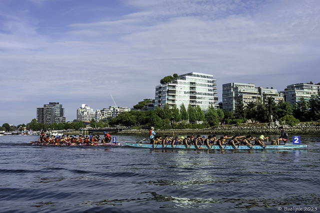 @ the 35th Concord Pacific Dragon Boat Festival .. P.i.P. (© Buelipix)