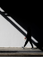Shadow